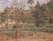 Vegetable Garden at the Hermitage near Pontoise Camille Pissarro